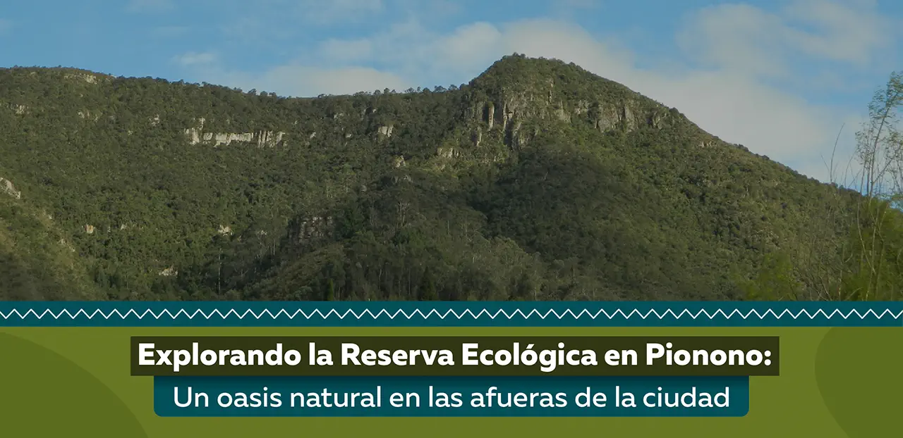 Explorando la Reserva Ecológica en Pionono: Un Oasis Natural en las Afueras de la Ciudad