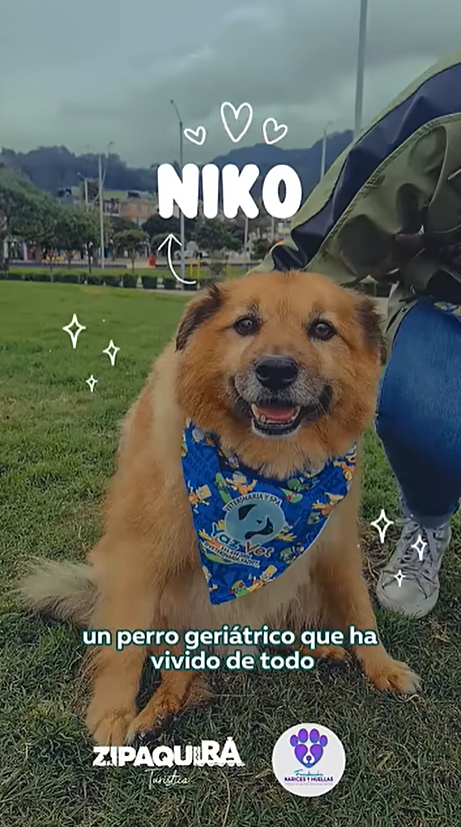 Parque de la Esperanza en Zipaquirá – Niko nos guía