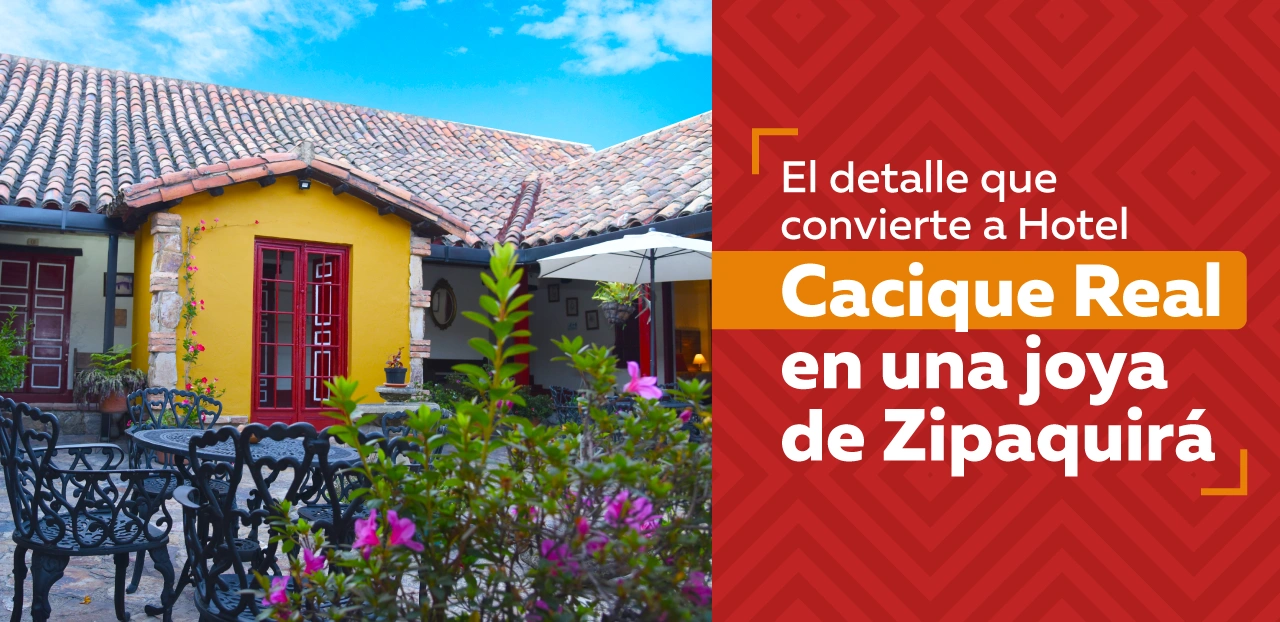 Descripción de la imagen