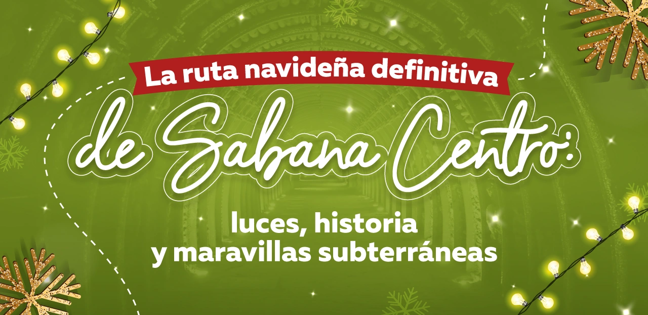 Descripción de la imagen